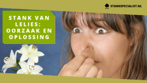 Stank van lelies_ oorzaak en oplossing (3)