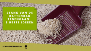 Stank van de kattenbak tegengaan 8 beste ideeën