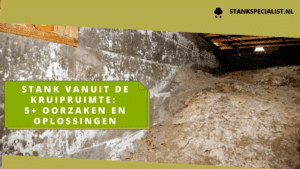 Stank vanuit de kruipruimte 5+ oorzaken en oplossingen